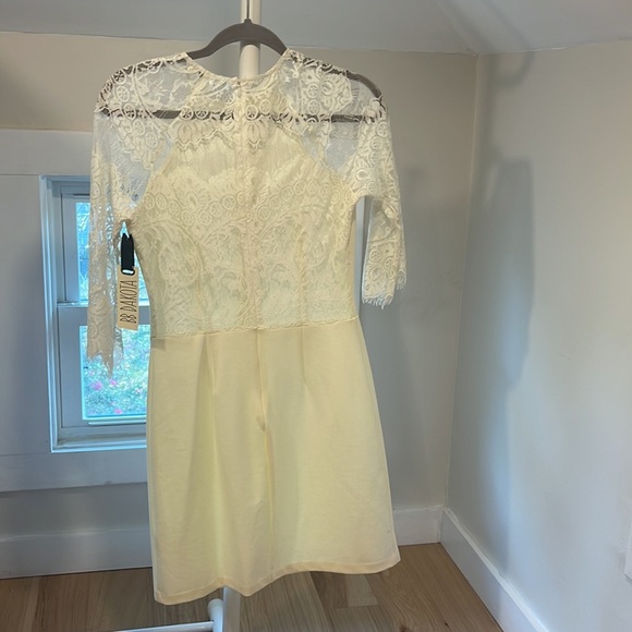 NWT -BB Dakota | Princeton Ivory Dress Lace, Size M - Picture 6 of 6